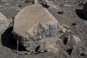 Piedra: 1301, Cara decorada: II