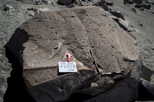 Piedra: 1307, Cara decorada: III