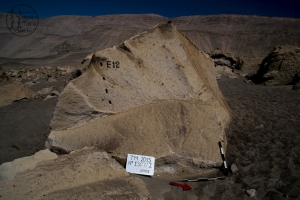 Piedra: 1307, Cara decorada: II