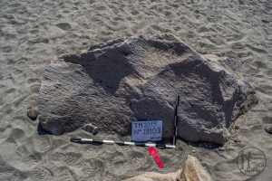 Piedra: 1310, Cara decorada: II
