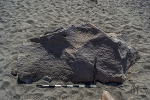 Piedra: 1310, Cara decorada: II