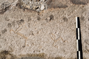 Piedra: 1314, Cara decorada: III
