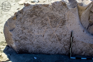 Piedra: 1314, Cara decorada: II