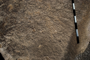Piedra: 1314, Cara decorada: I