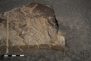 Piedra: 1315, Cara decorada: I