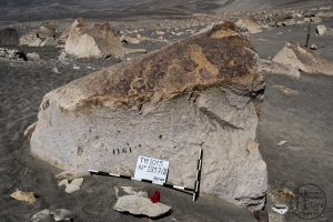 Piedra: 1317, Cara decorada: III