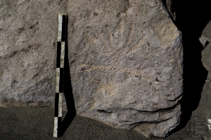 Piedra: 1317, Cara decorada: III