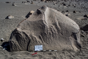 Piedra: 1317, Cara decorada: II