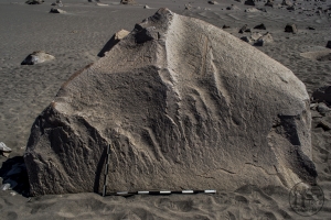 Piedra: 1317, Cara decorada: II