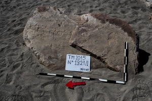 Piedra: 1321, Cara decorada: I