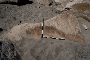 Piedra: 1324, Cara decorada: I