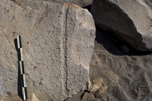 Piedra: 1326, Cara decorada: I