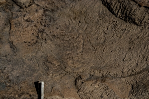 Piedra: 1328, Cara decorada: I