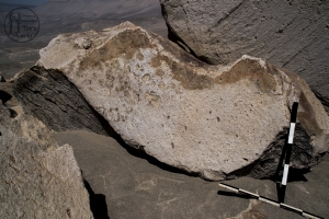 Piedra: 1329, Cara decorada: I