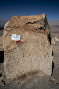 Piedra: 1330, Cara decorada: IV