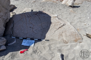 Piedra: 1331, Cara decorada: I