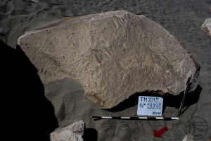 Piedra: 1333, Cara decorada: I