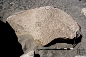 Piedra: 1333, Cara decorada: I