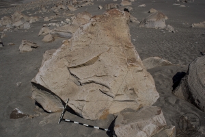 Piedra: 1335, Cara decorada: I