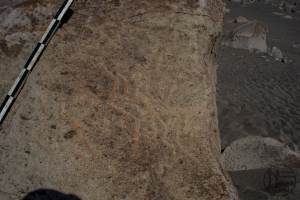 Piedra: 1335, Cara decorada: I