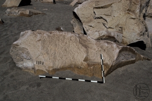Piedra: 1336, Cara decorada: I