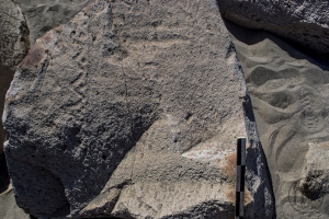 Piedra: 1338, Cara decorada: I