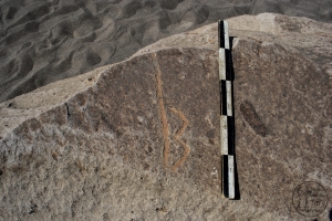Piedra: 1339, Cara decorada: I