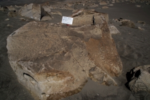Piedra: 1342, Cara decorada: II