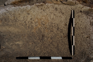 Piedra: 1342, Cara decorada: II
