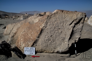 Piedra: 1342, Cara decorada: I