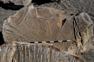 Piedra: 1346, Cara decorada: II
