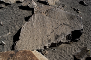 Piedra: 1347, Cara decorada: III