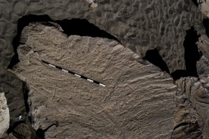 Piedra: 1347, Cara decorada: III