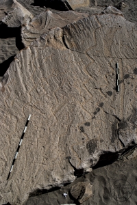 Piedra: 1347, Cara decorada: III