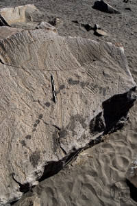 Piedra: 1347, Cara decorada: III