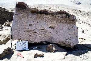 Piedra: 1351, Cara decorada: I