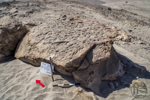 Piedra: 1352, Cara decorada: I