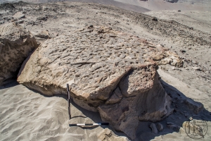 Piedra: 1352, Cara decorada: I