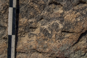 Piedra: 1352, Cara decorada: I
