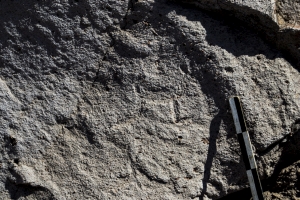 Piedra: 1353, Cara decorada: III