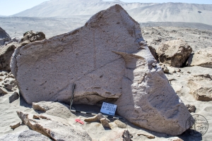 Piedra: 1353, Cara decorada: II