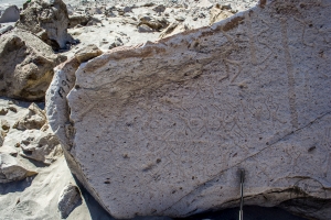 Piedra: 1353, Cara decorada: II