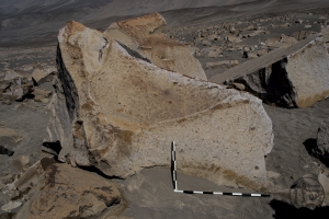 Piedra: 1353, Cara decorada: I