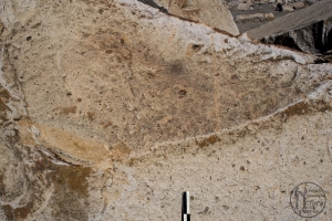 Piedra: 1353, Cara decorada: I