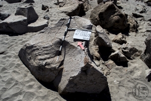 Piedra: 1354, Cara decorada: II