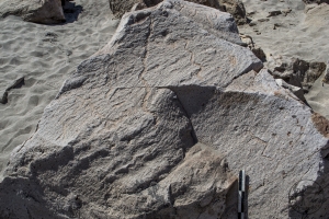 Piedra: 1354, Cara decorada: I