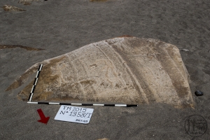 Piedra: 1358, Cara decorada: I