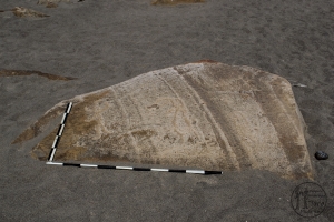 Piedra: 1358, Cara decorada: I