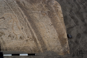 Piedra: 1358, Cara decorada: I