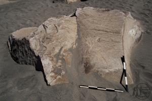 Piedra: 1363, Cara decorada: III